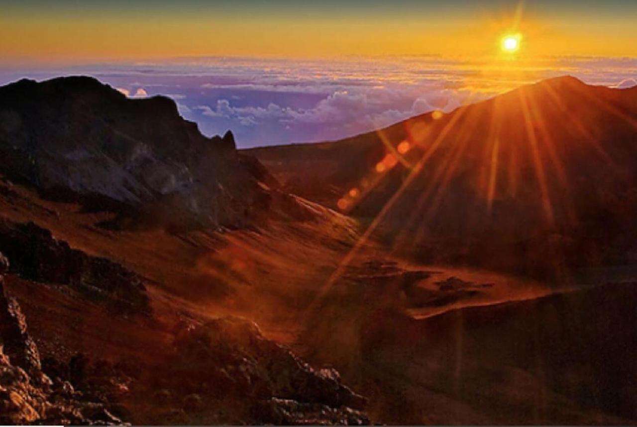شقة Tropical Maui Kamaole B-Bldg ويليا المظهر الخارجي الصورة